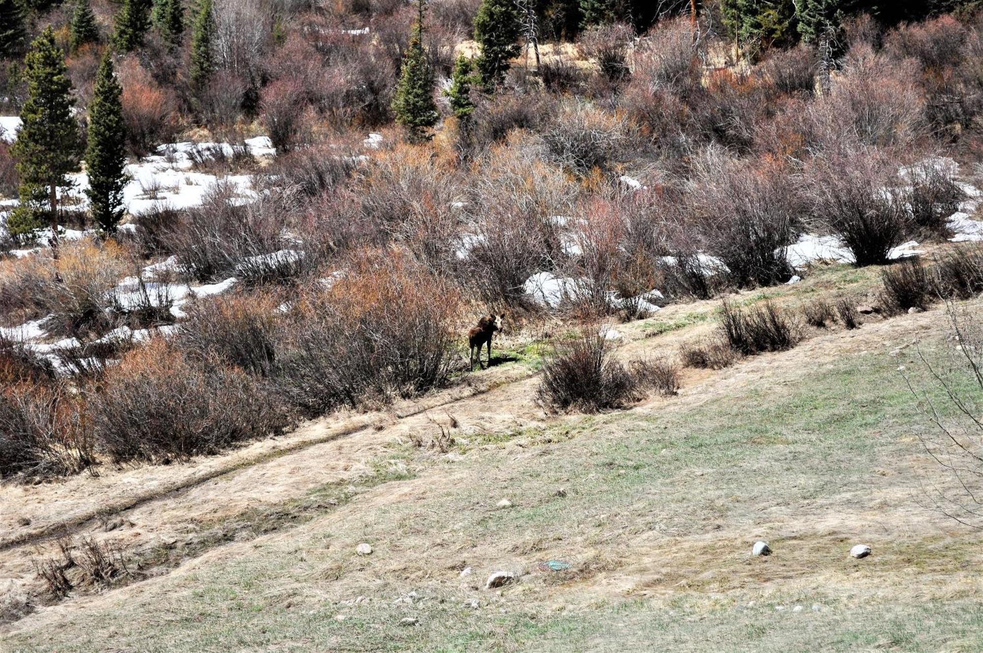 Forest Park 3 Bed 4 Bath Twnhm Htjm Silverthorne Zewnętrze zdjęcie